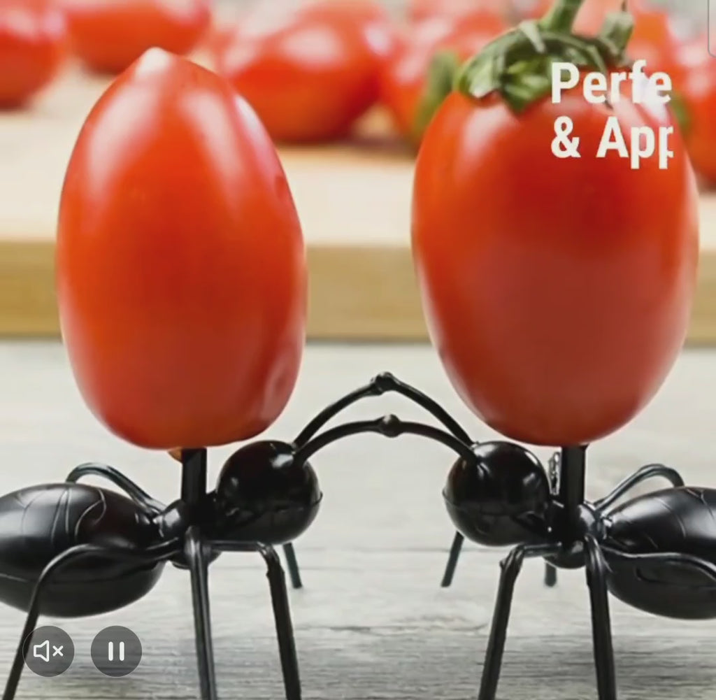 24er Set Ameisen Zahnstocher wiederverwendbar