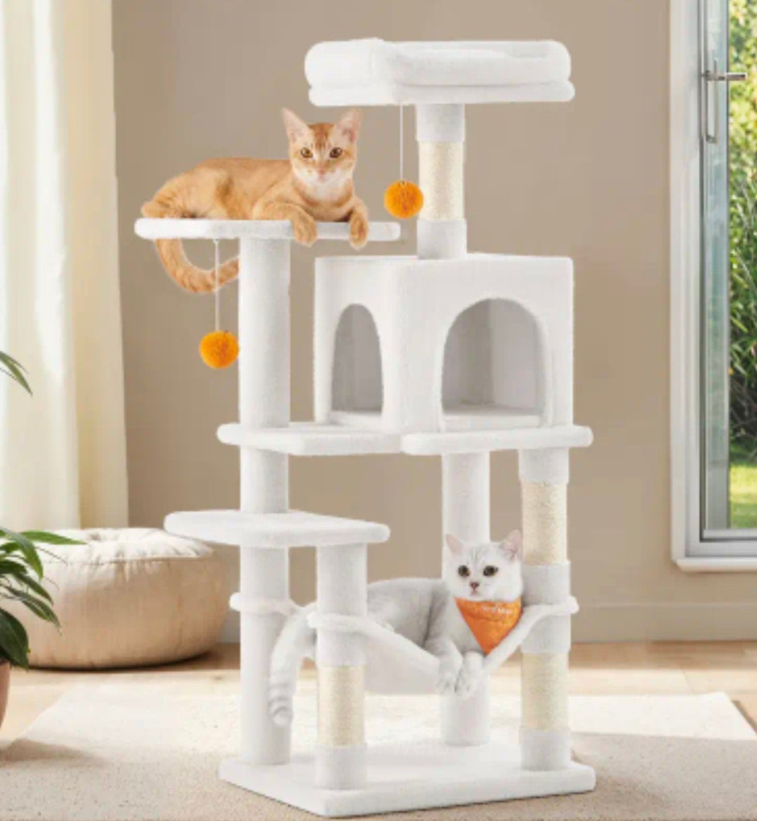 Kratzbaum in 2 Farben