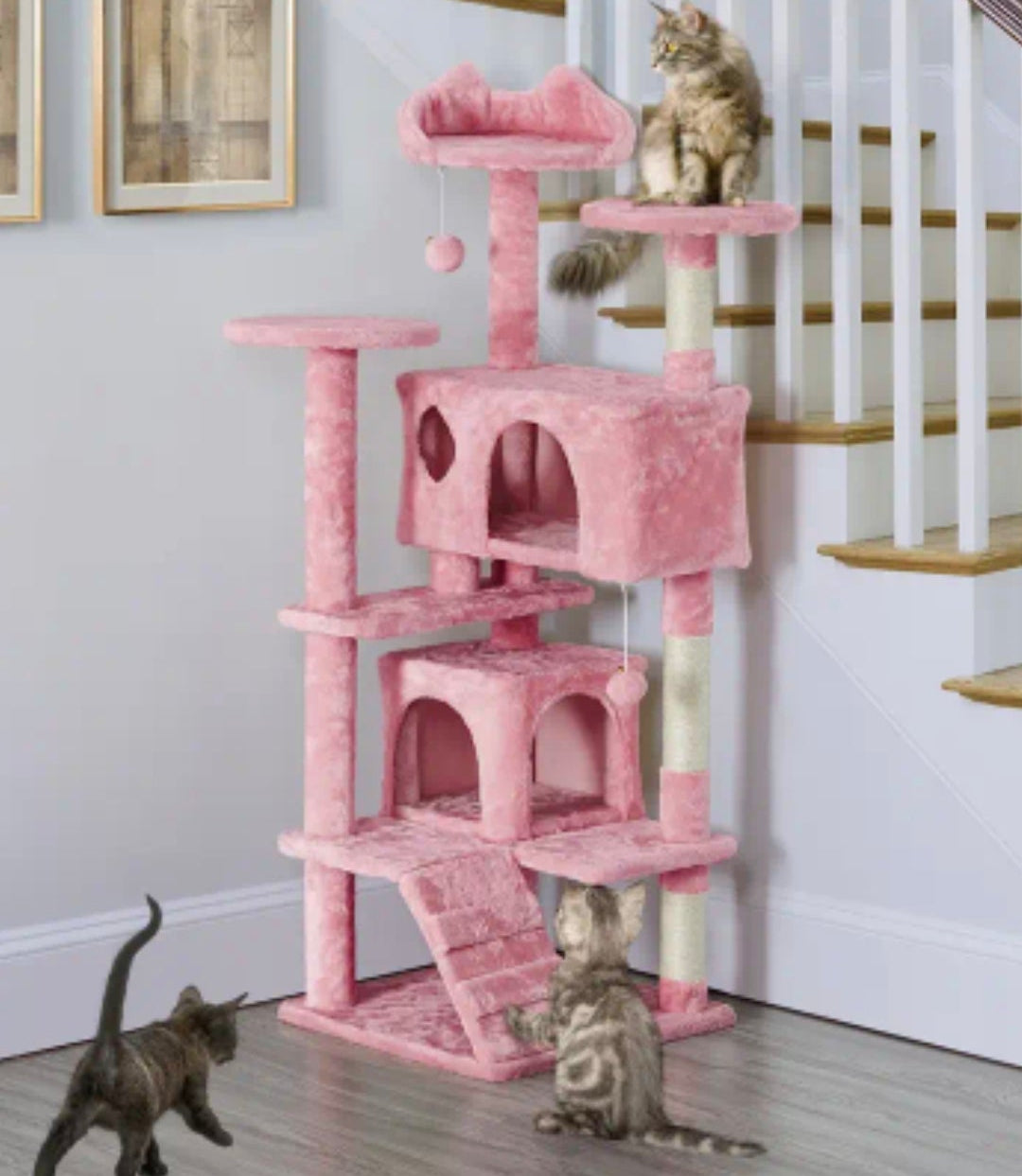 Katzenkratzbaum in 8 Farben